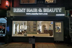 Remy Hair Art image