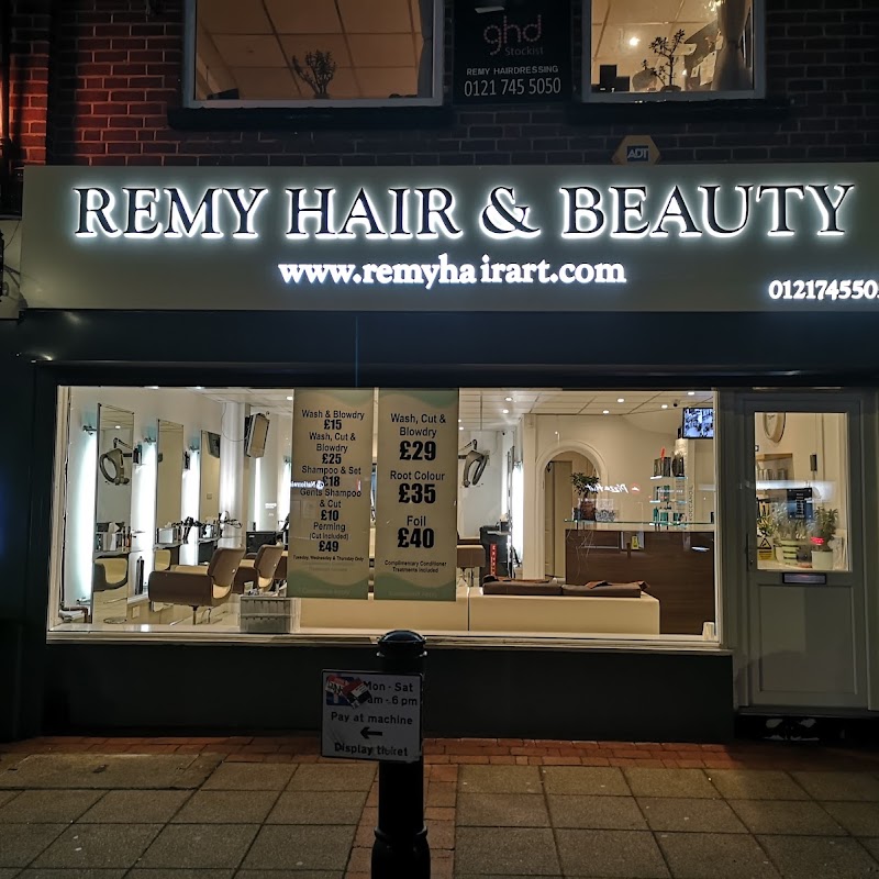 Remy Hair Art