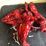 Photo n°5 de l'avis de Silvia.. fait le 04/10/2021 à 19:33 sur le  La Cola Cola à Matera