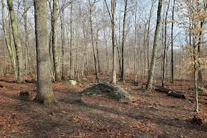 Nichols Field Disc Golf Course image