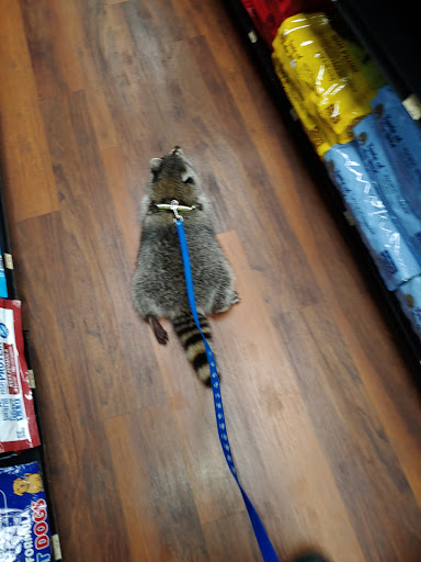 Pet Supply Store «Pet Valu Pet Store», reviews and photos, 2702 Smithville Rd, Dayton, OH 45420, USA