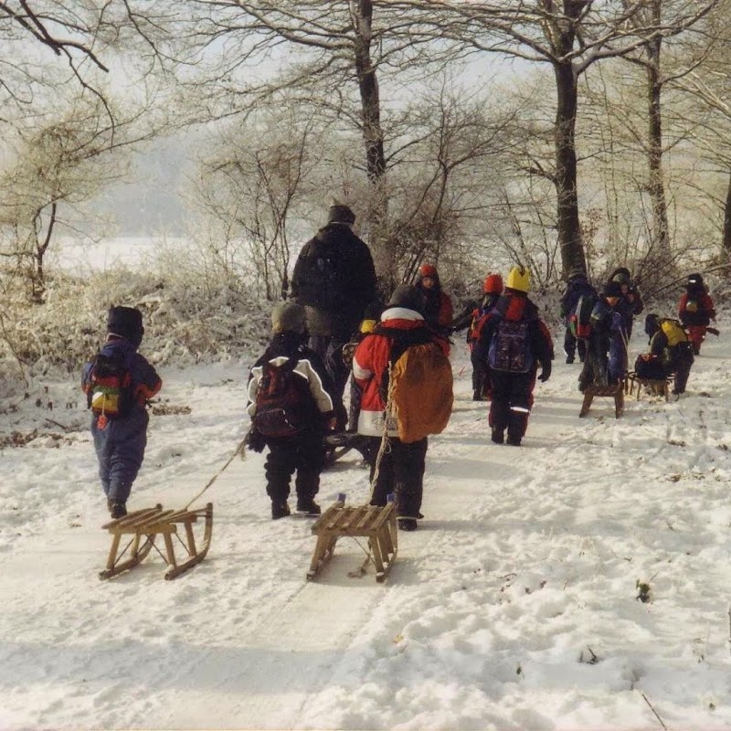 Waldkindergarten AWO-Waldmäuse