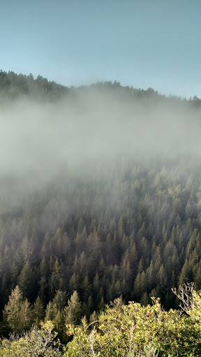 Soquel Demonstration State Forest image