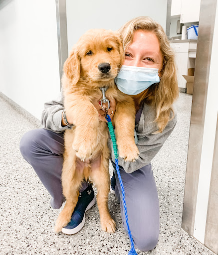 Park West Veterinary Associates image