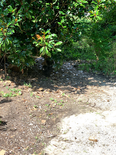 Barbecue Restaurant «Hubba Hubba Smokehouse», reviews and photos, 2724 Greenville Hwy, Flat Rock, NC 28731, USA