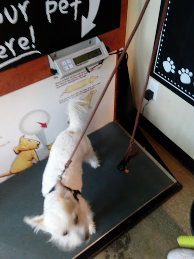 Pet Supply Store «Pet Food Express», reviews and photos, 320 S Lake Ave, Pasadena, CA 91101, USA