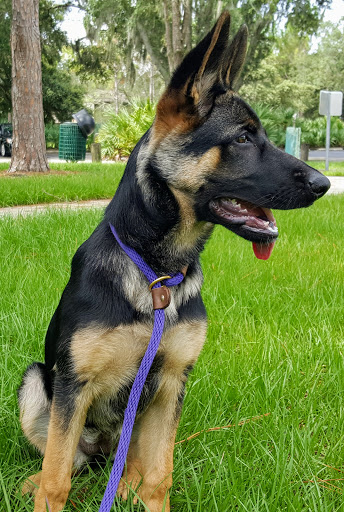 Community Center «University Area Community Center», reviews and photos, 14013 N 22nd St, Tampa, FL 33613, USA