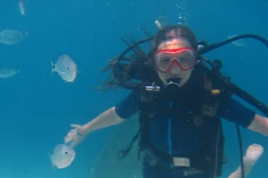 Diving Cala Mariolu image