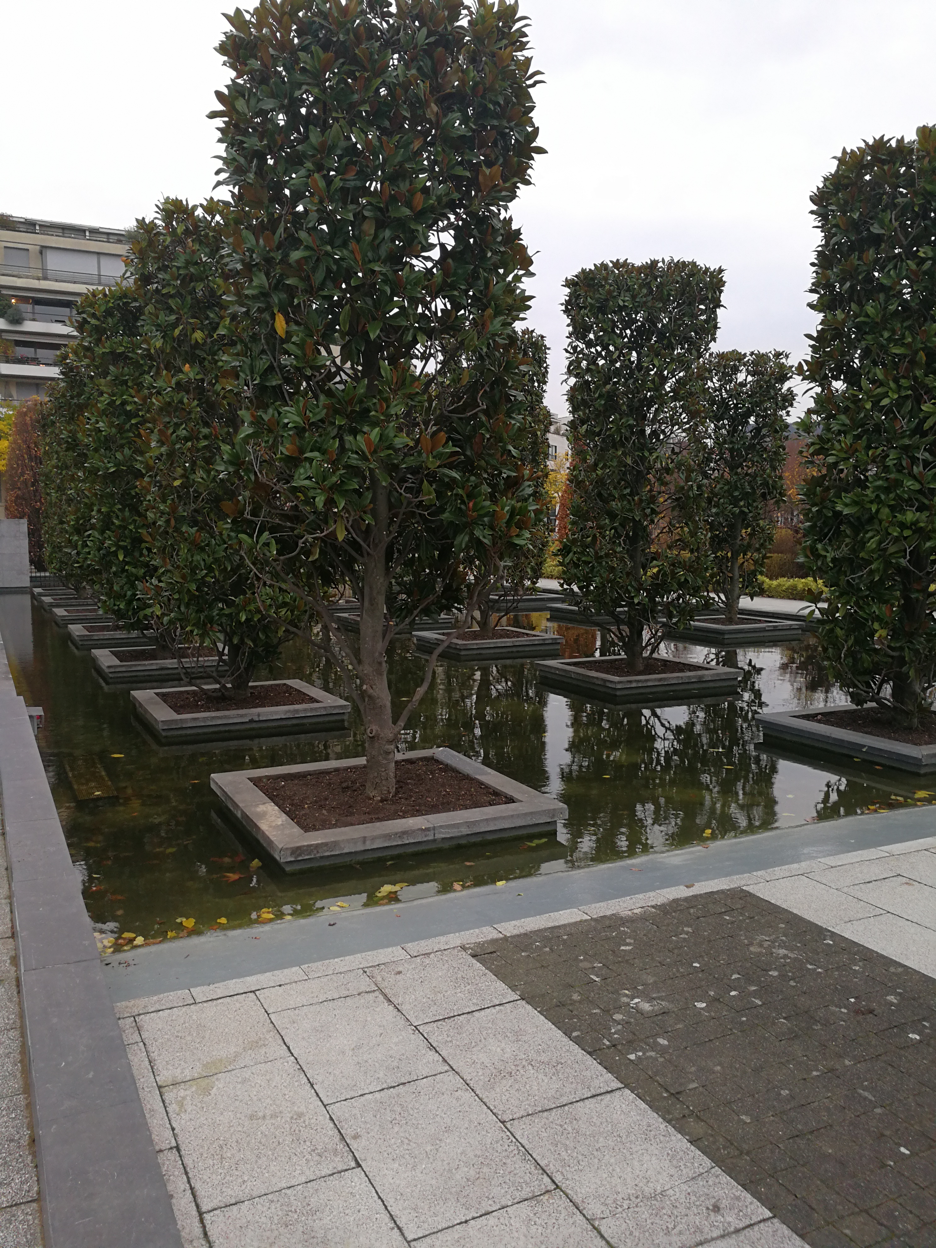 Photo n° 8 de l'avis de Fouad.s fait le 06/12/2017 à 13:21