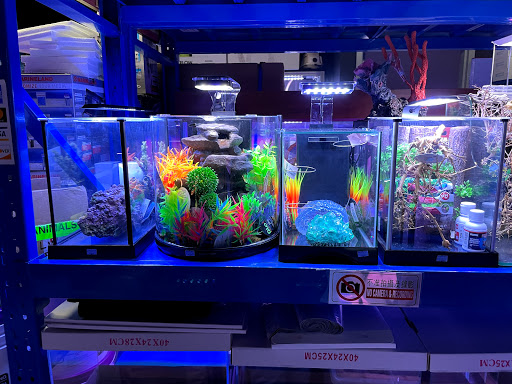 Pet Supply Store «Monster Aquarium Inc.», reviews and photos, 131-08 40 Rd, Flushing, NY 11354, USA