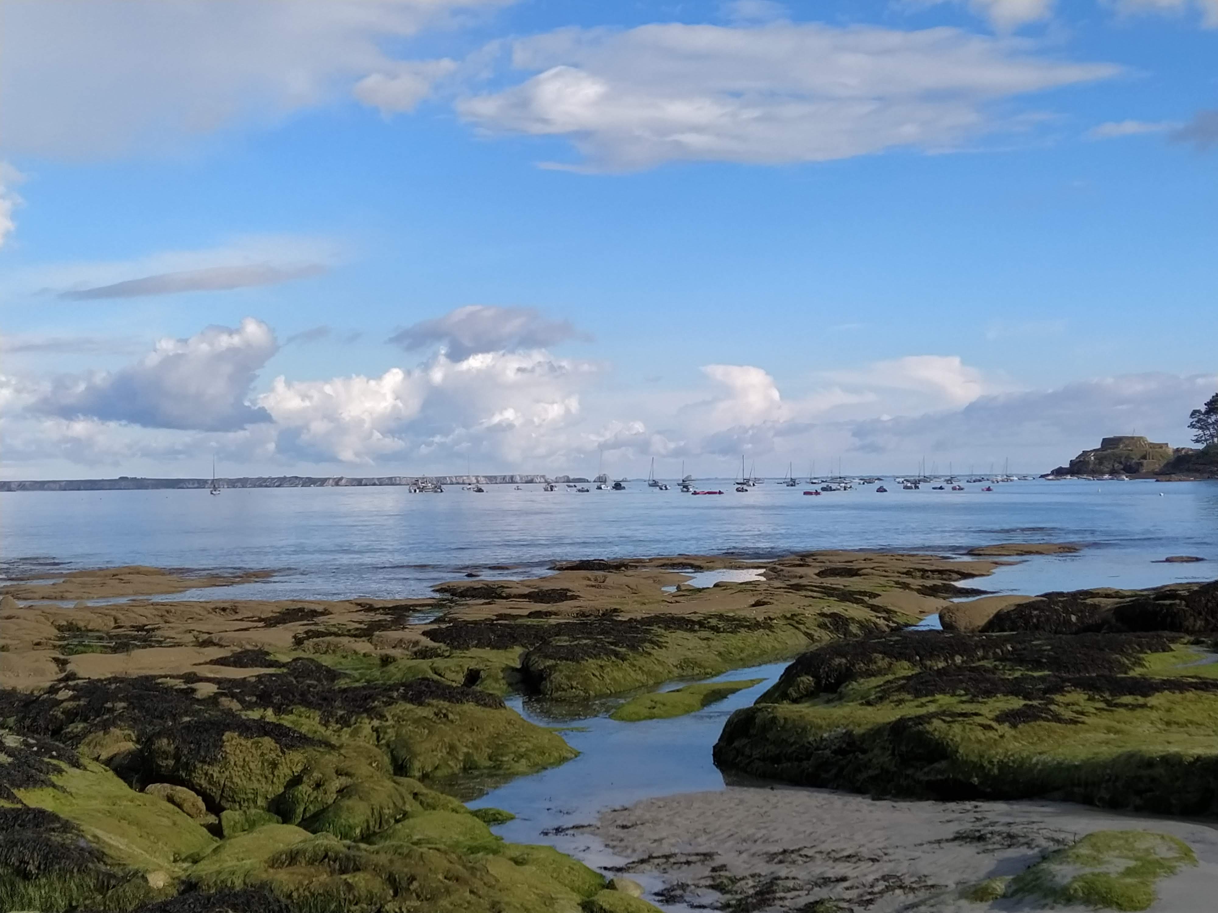 Photo n° 1 de l'avis de Christophe.a fait le 29/02/2020 à 11:24