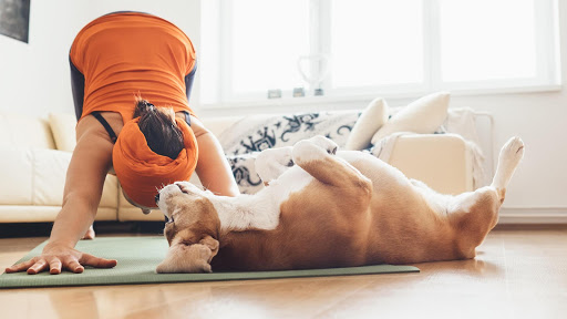 61109 Airport Rd, Slidell, LA 70460, USA