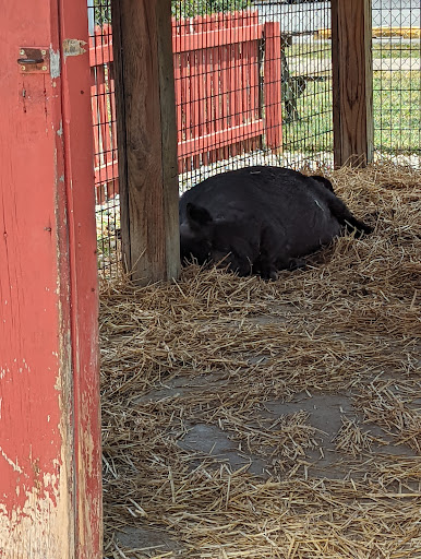 Park «Buffalo Trace Park», reviews and photos, 1540 US-150, Palmyra, IN 47164, USA