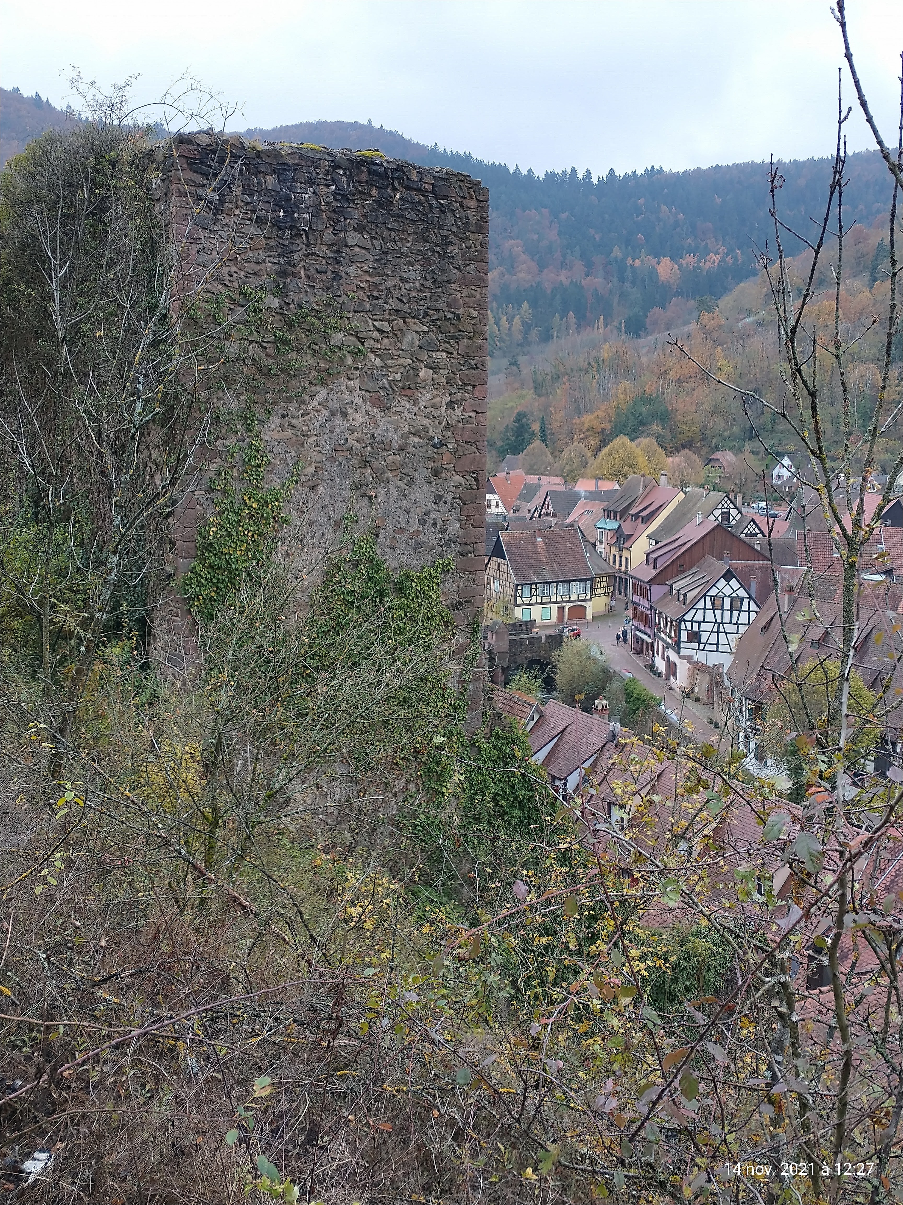 Photo n° 5 de l'avis de Lou. fait le 15/11/2021 à 06:07