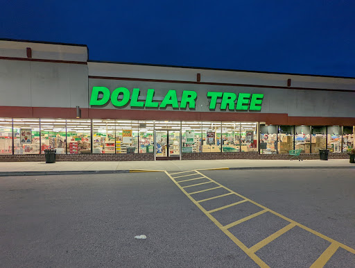 Dollar Store «Dollar Tree», reviews and photos, 77 W Rand Rd, Arlington Heights, IL 60004, USA