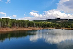 Yozgat Pine Grove National Park image