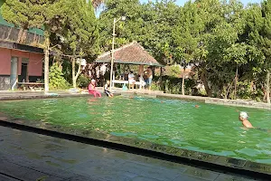 Swimming Pool Wayan image
