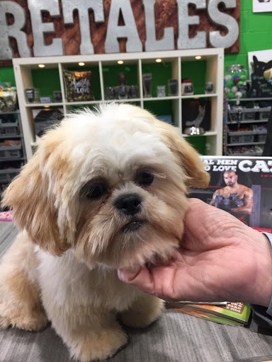 Pet Supply Store «Happy Re Tales», reviews and photos, 101 Creekside Crossing, Brentwood, TN 37027, USA