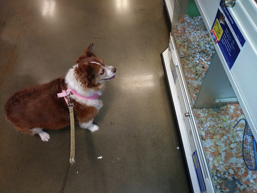 Pet Supply Store «PetSmart», reviews and photos, 1791 Oconee Connector Suite 130, Athens, GA 30606, USA
