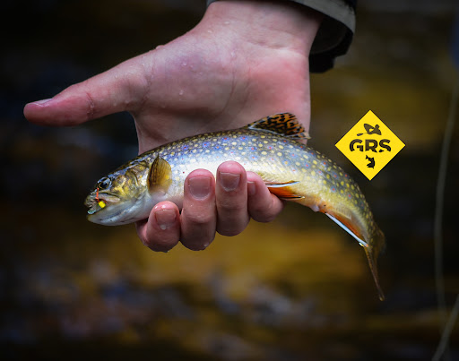 Outdoor Sports Store «Golden River Sports LLC», reviews and photos, 806 Washington Ave, Golden, CO 80401, USA