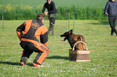 Amicale Du Chien à Frignicourt