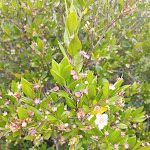 Photo n° 9 de l'avis de Sophie.o fait le 29/07/2023 à 15:32 pour Le Jardin des Possibles à Persac