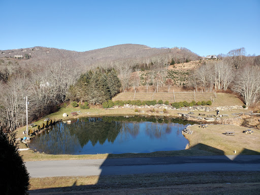Winery «Banner Elk Winery & Villa», reviews and photos, 60 Deer Run Rd, Banner Elk, NC 28604, USA