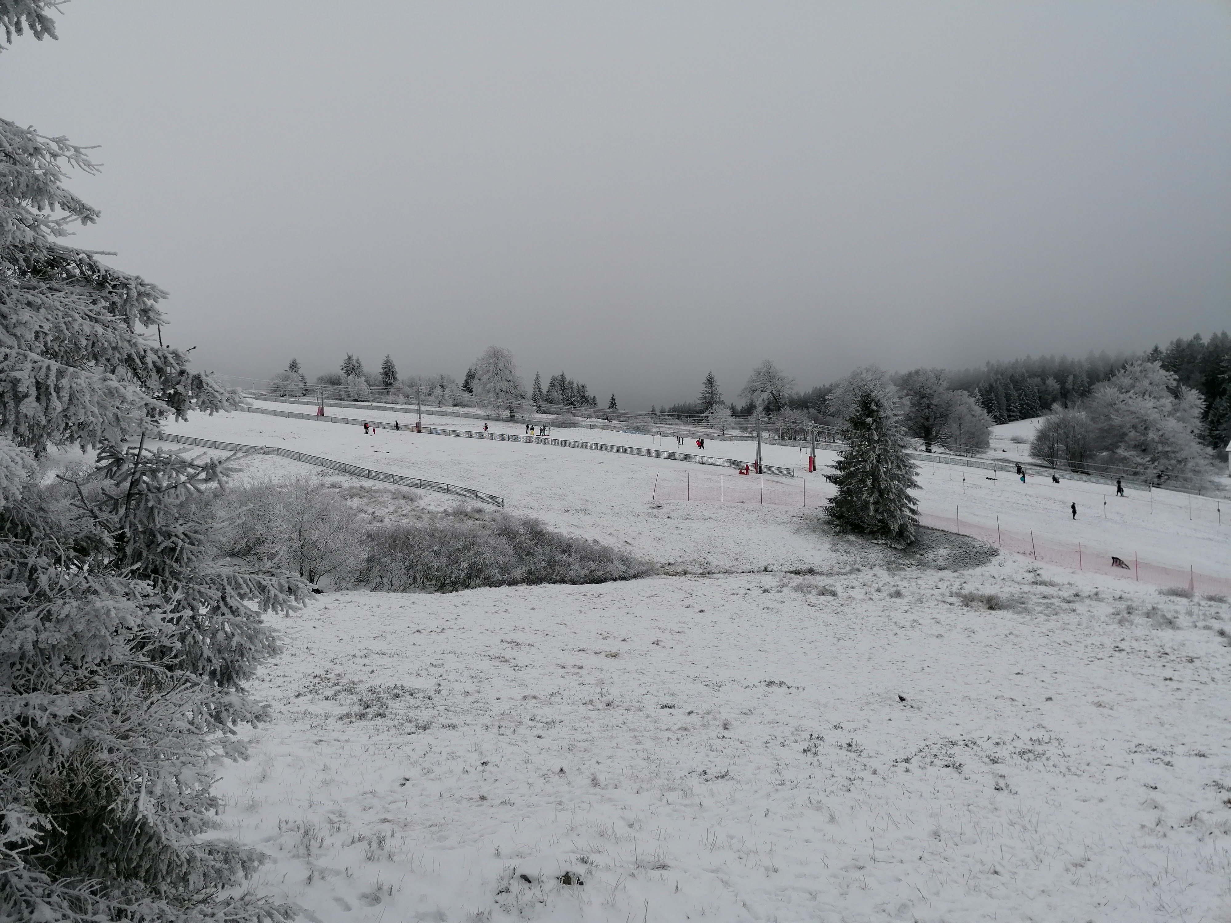 Photo n° 7 de l'avis de sumrak78. fait le 30/12/2020 à 15:39