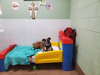 All God's Creatures Great & Small Grooming, Boarding and Doggie Daycare