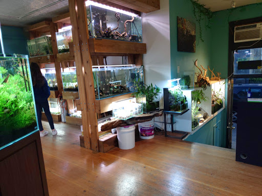 Tropical Fish Store «Aquarium Zen», reviews and photos, 920 NE 64th St, Seattle, WA 98115, USA
