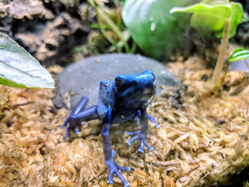 Aquarium «SEA LIFE Minnesota Aquarium», reviews and photos, 120 E Broadway, Bloomington, MN 55425, USA