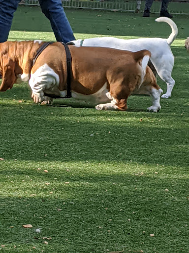 Dog Park «Church Square Park Dog Park», reviews and photos, 401-449 Willow Ave, Hoboken, NJ 07030, USA