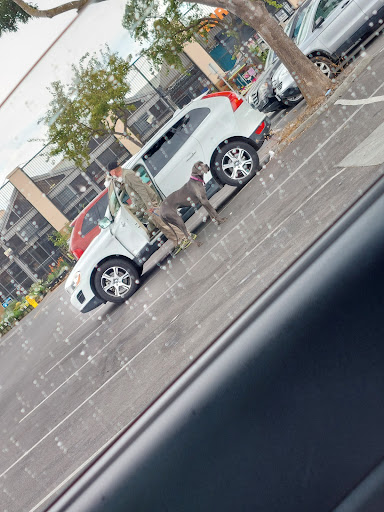 Auto Parts Store «Pep Boys Auto Parts & Service», reviews and photos, 4805 Redwood Dr, Rohnert Park, CA 94928, USA