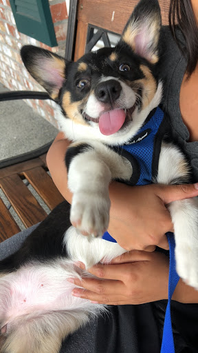 Pet Store «Fairwood Pet Center», reviews and photos, 14201 SE Petrovitsky Rd, Renton, WA 98058, USA