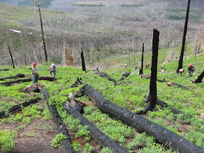 Birrueta Reforestation, Inc.