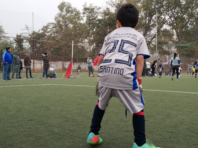 Escuela de Fútbol Universidad de Chile La Pintana - La Pintana