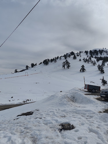 Σχόλια και κριτικές για το Χιονοδρομικό Κέντρο Βασιλίτσας