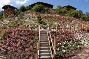 Rose Garden Uhrerhof image