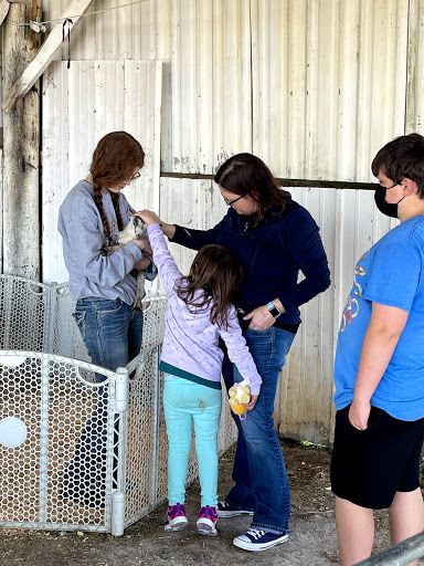 Farm «Benton Family Farm», reviews and photos, 11896 Old Lexington Pike, Walton, KY 41094, USA