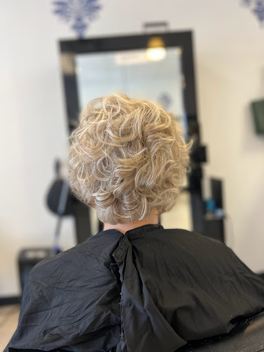 Hair Salon «Viva Salon & Spa», reviews and photos, 3651 Dawson Forest Rd E, Dawsonville, GA 30534, USA