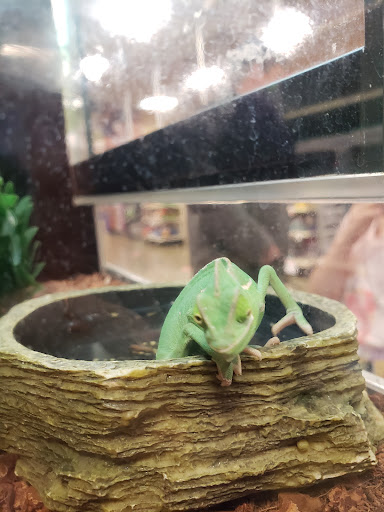 Pet Supply Store «PetSmart», reviews and photos, 9905 E Independence Blvd, Matthews, NC 28105, USA