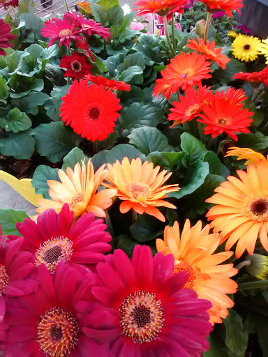 Department Store «Walmart Supercenter», reviews and photos, 460 Hospital Rd, New Roads, LA 70760, USA