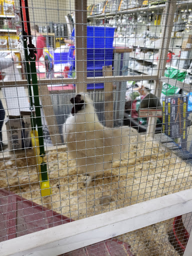 Department Store «Rural King», reviews and photos, 230 Central Pkwy, Heath, OH 43056, USA