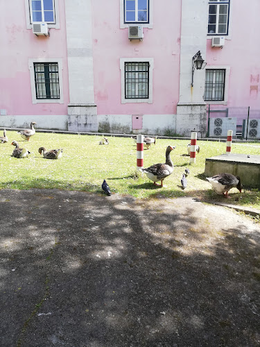 Praça São João Bosco, 34 Cave, 1399-007 Lisboa, Portugal