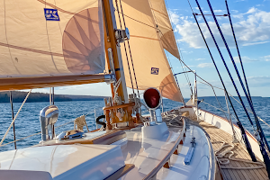 True North Sailing Charters image