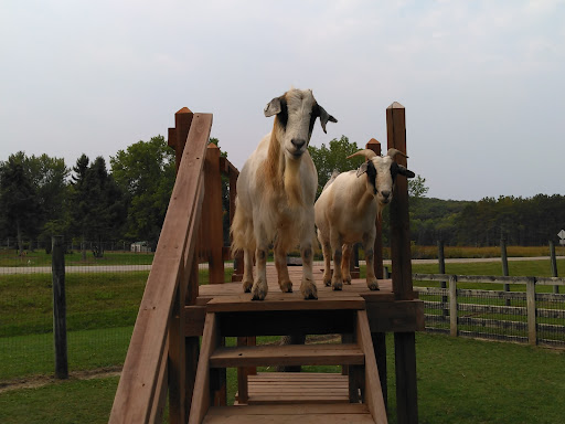 Park «Oxbow Park & Zollman Zoo», reviews and photos, 5731 County Rd 105 NW, Byron, MN 55920, USA