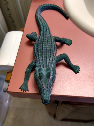 Home Goods Store «Dollar General», reviews and photos, 2649 Main St, Whitney Point, NY 13862, USA