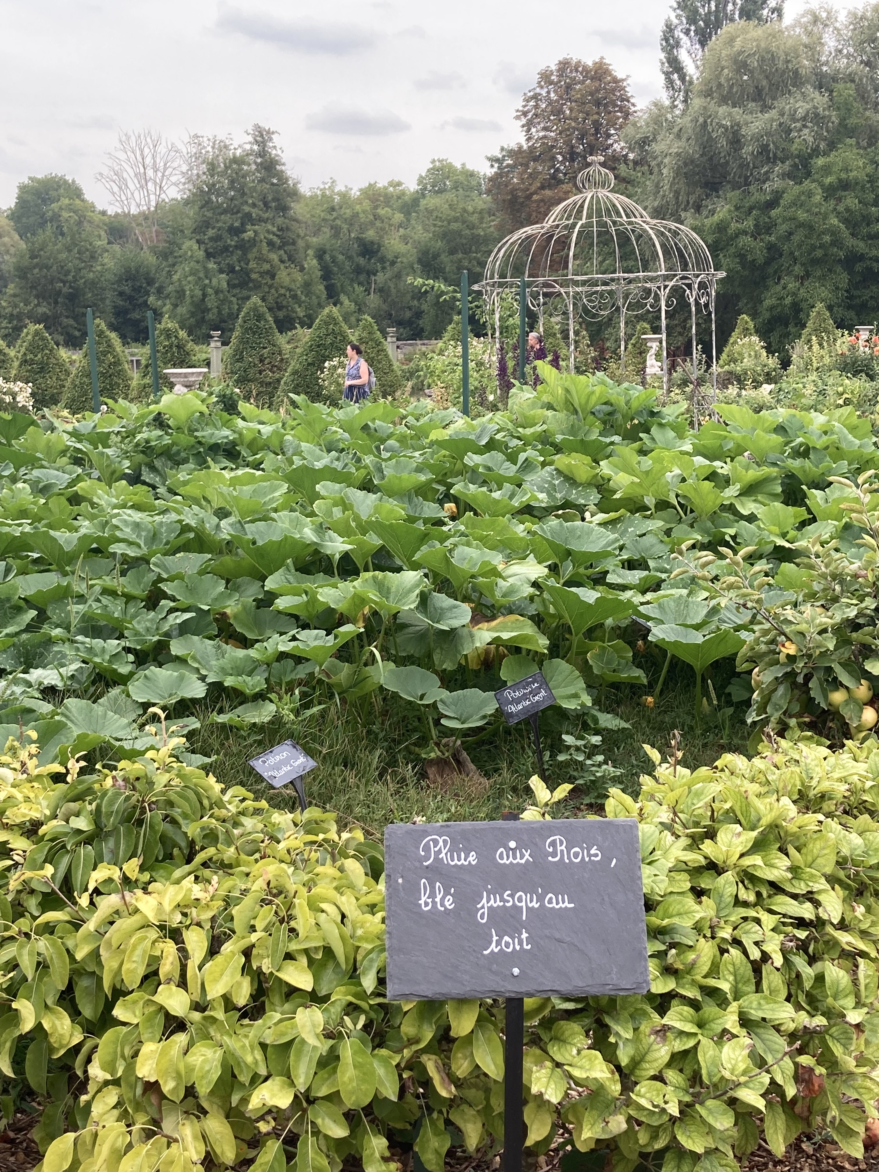 Photo n° 45 de l'avis de Denis.a fait le 16/08/2022 à 17:21