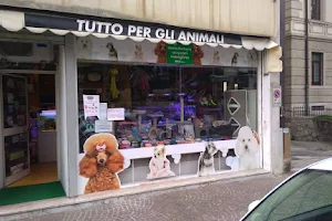 Zoogarden - Toelettatura e articoli per animali a Udine image