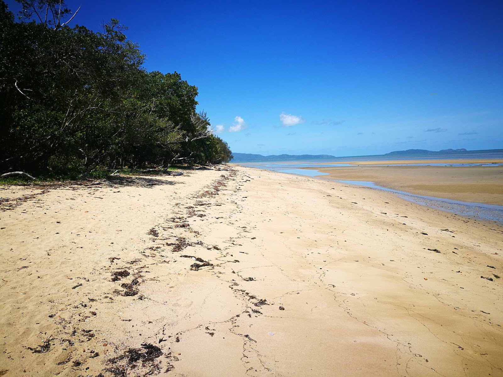 Photo of Wonga Beach located in natural area